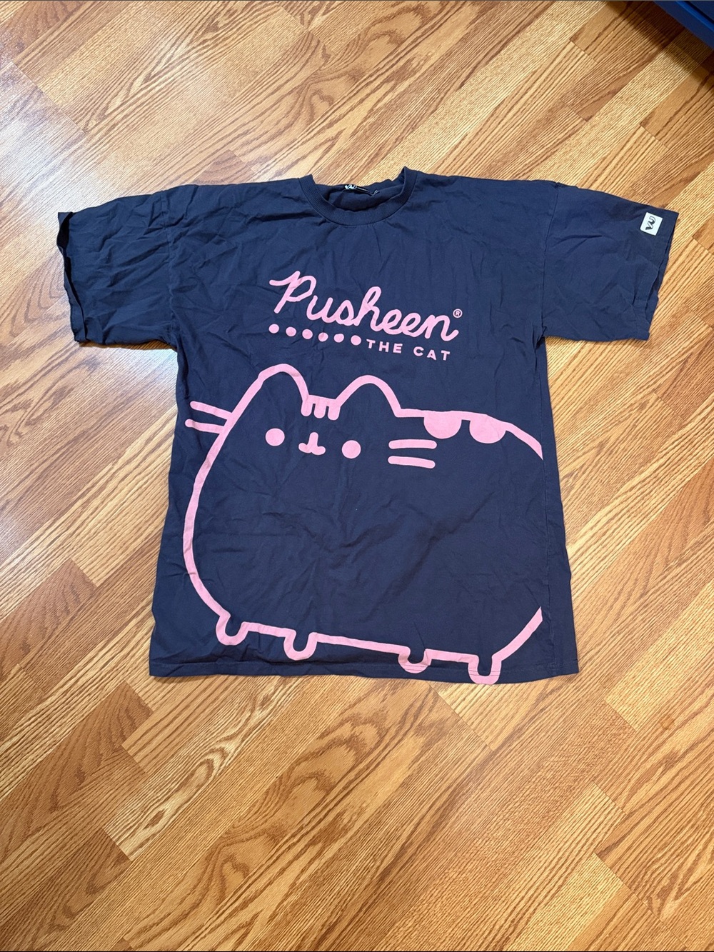 Pusheen Washed Black Tee Dress with Pink Graphic Cat - Nightgown